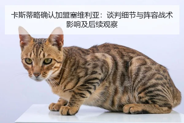 卡斯蒂略确认加盟塞维利亚：谈判细节与阵容战术影响及后续观察